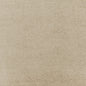 ED85251-170 CAMI CHAMPAGNE THREADS Fabrics Drapery Upholstery