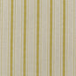 ED85282-748 RATTAN STRIPE CITRUS THREADS DRAPERY
