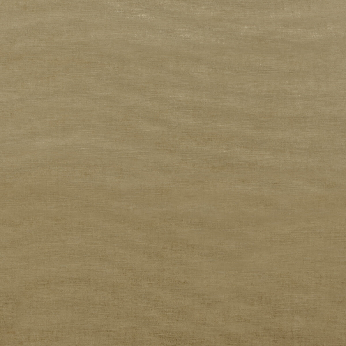 ED85292-170 MERIDIAN VELVET CAMEL THREADS UPHOLSTERY