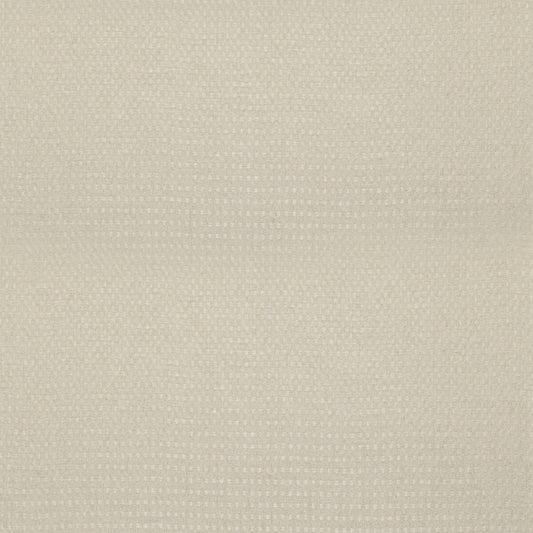 ED85399-225 SKELLIG PARCHMENT THREADS DRAPERY