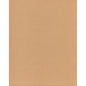 ED85417-145 THREADS CLARITY SESAME