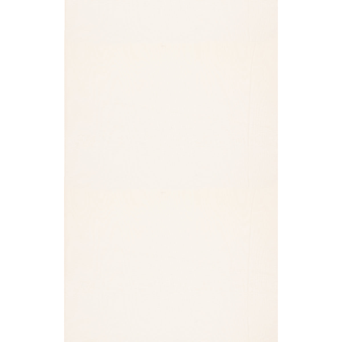 ED95021-100 THREADS AIR SNOW