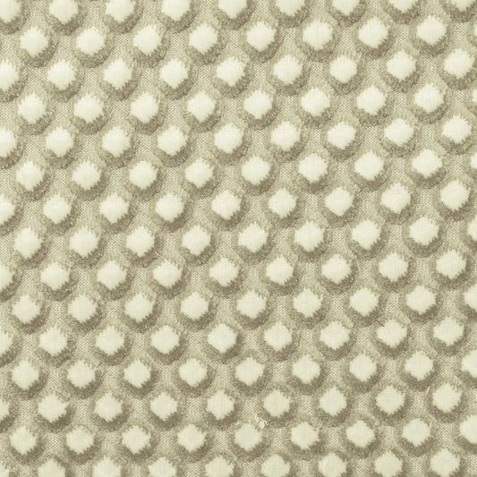 EDWARD Stout Multi-Purpose