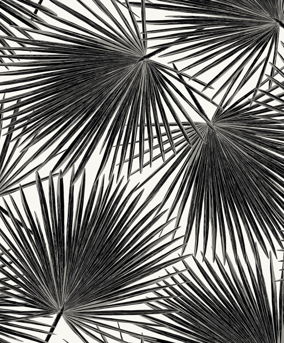 EP11000 Etten Studios Etten Prepasted Wallcoverings Wallpaper Haven Palm Prepasted Inkwell