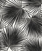 EP11000 Etten Studios Etten Prepasted Wallcoverings Wallpaper Haven Palm Prepasted Inkwell