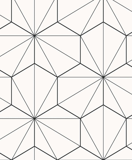 ET11300 Etten Studios Etten Studios Online Wallpaper Hedron Geometric Ebony & Eggshell