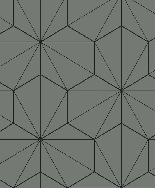 ET11305 Etten Studios Etten Studios Online Wallpaper Hedron Geometric Pavestone & Ebony