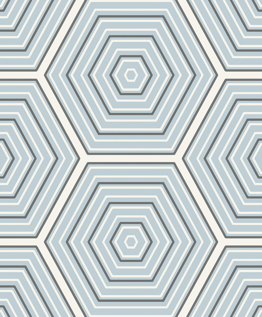 ET11902 Etten Studios Etten Studios Online Wallpaper Hex Topography Sky Blue & Argos Grey