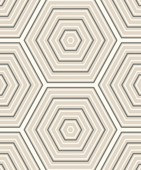 ET11905 Etten Studios Etten Studios Online Wallpaper Hex Topography Lunar Rock & Argos Grey