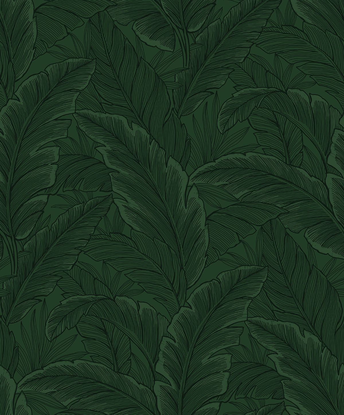 ET13004 Etten Studios Etten Studios Online Wallpaper Gulf Tropical Leaves Forest Green