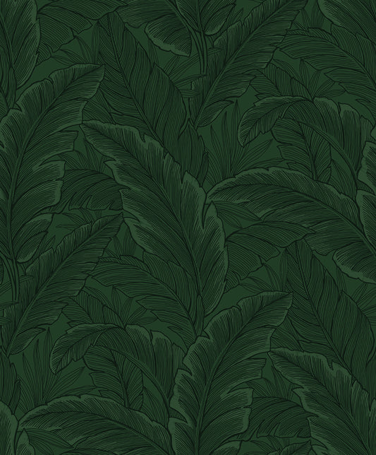 ET13004 Etten Studios Etten Studios Online Wallpaper Gulf Tropical Leaves Forest Green