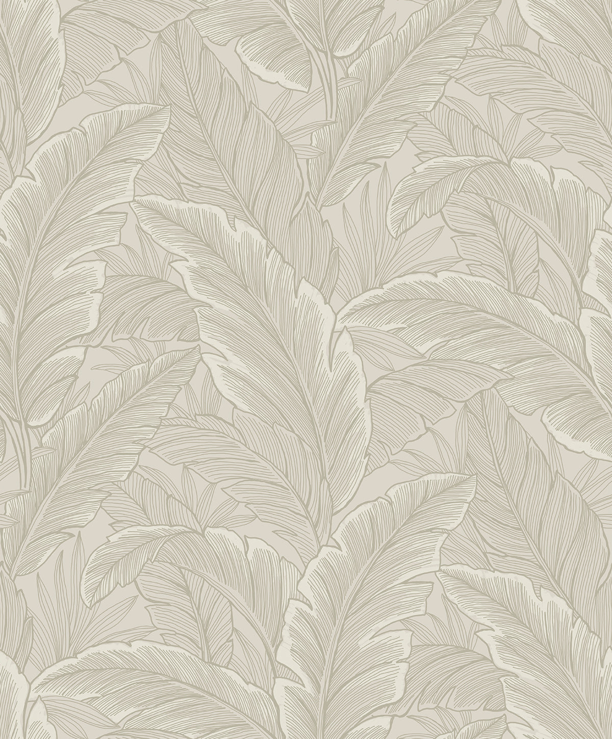 ET13005 Etten Studios Etten Studios Online Wallpaper Gulf Tropical Leaves Crema