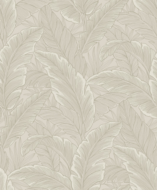 ET13005 Etten Studios Etten Studios Online Wallpaper Gulf Tropical Leaves Crema