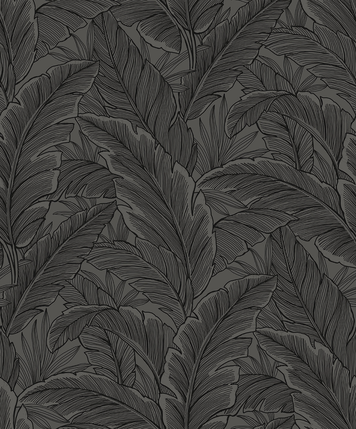 ET13008 Etten Studios Etten Studios Online Wallpaper Gulf Tropical Leaves Slate Grey