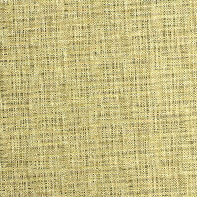 ETCHING-404 ETCHING GOLD KRAVET COUTURE UPHOLSTERY