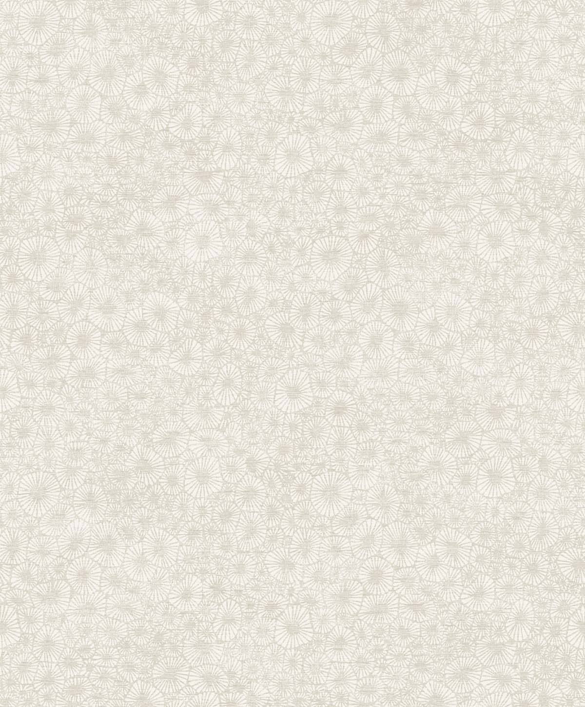 EW10705 Seabrook Designs White Heron Wallpaper Windham Shells South Sea Pearl
