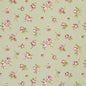F0299/04-CAC ROSEBUD SAGE CLARKE AND CLARKE Fabrics Drapery Upholstery