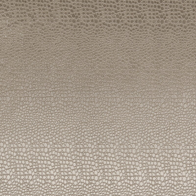 F0469/02-CAC PULSE ASH CLARKE AND CLARKE Fabrics Drapery Upholstery