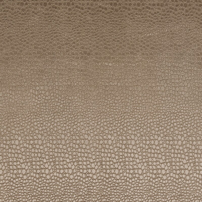 F0469/15-CAC PULSE TAUPE CLARKE AND CLARKE Fabrics Drapery Upholstery