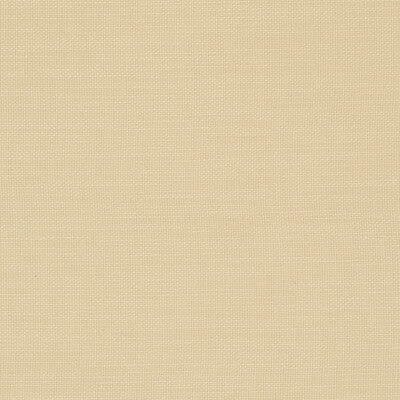 F0594/03-CAC NANTUCKET BUTTER CLARKE AND CLARKE Fabrics Drapery Upholstery