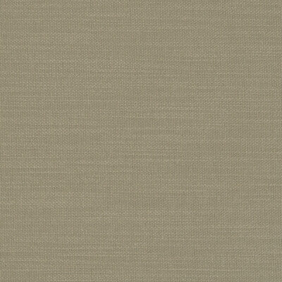 F0594/19-CAC NANTUCKET EUCALYPTUS CLARKE AND CLARKE Fabrics Drapery Upholstery