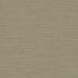 F0594/19-CAC NANTUCKET EUCALYPTUS CLARKE AND CLARKE Fabrics Drapery Upholstery