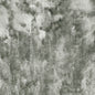 F0650/27-CAC CRUSH SILVER CLARKE AND CLARKE Fabrics Drapery Upholstery
