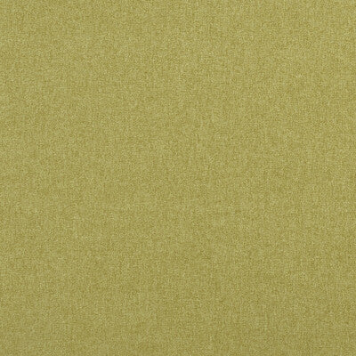 F0848/12-CAC HIGHLANDER FERN CLARKE AND CLARKE Fabrics Drapery Upholstery
