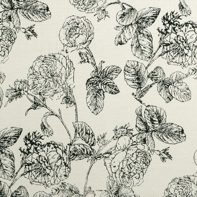 F0908/01-CAC BW1035 BLACK/WHITE CLARKE AND CLARKE Fabrics Drapery Upholstery