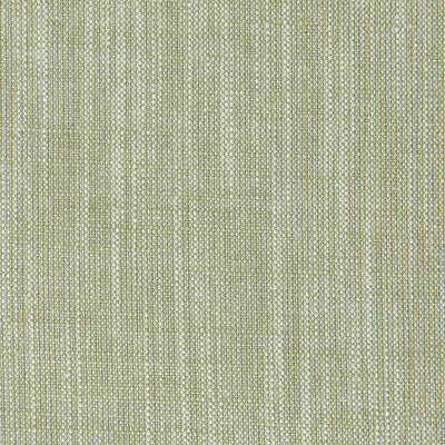 F0965/16-CAC BIARRITZ EUCALYPTUS CLARKE AND CLARKE Fabrics Drapery Upholstery