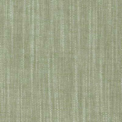 F0965/36-CAC BIARRITZ PARSLEY CLARKE AND CLARKE Fabrics Drapery Upholstery