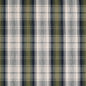 F100-145 Plaid nan Blue,Green Performance Colors