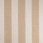 F100-155 Stripe nan Gold & Yellow Performance Colors