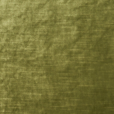 F1069/27-CAC ALLURE MOSS CLARKE AND CLARKE Fabrics Drapery Upholstery