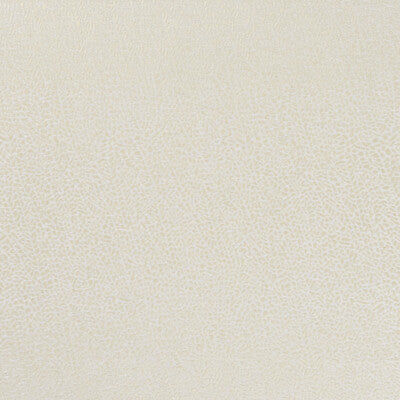 F1091/01-CAC ISLA IVORY/GILVER CLARKE AND CLARKE Fabrics Drapery Upholstery