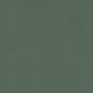 F1097/19-CAC ALORA FOREST CLARKE AND CLARKE Fabrics Drapery Upholstery