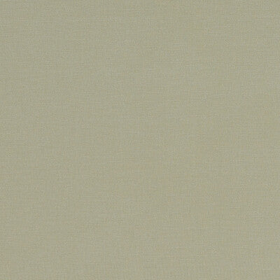 F1097/30-CAC ALORA KHAKI CLARKE AND CLARKE Fabrics Drapery Upholstery