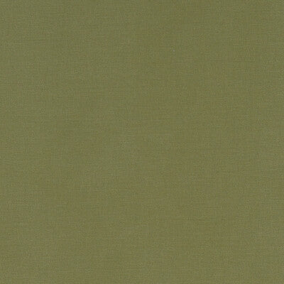 F1097/41-CAC ALORA MOSS CLARKE AND CLARKE Fabrics Drapery Upholstery