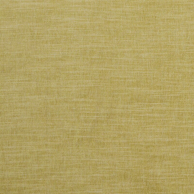 F1099/05-CAC MORAY CITRON CLARKE AND CLARKE Fabrics Drapery Upholstery