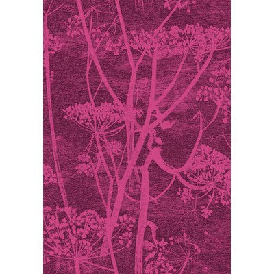 F111/5017-CS COW PARSLEY PRINT MAGENTA/PALM COLE & SON Fabrics Drapery Upholstery