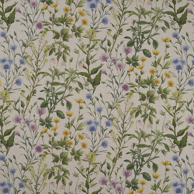 F1146/01-CAC BUTTERCUP LINEN CLARKE AND CLARKE Fabrics Drapery Upholstery