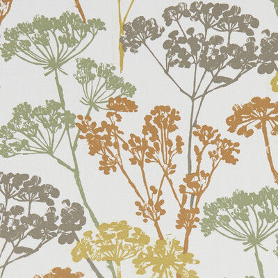 F1185/01-CAC DUNWICH AUTUMN CLARKE AND CLARKE Fabrics Drapery Upholstery