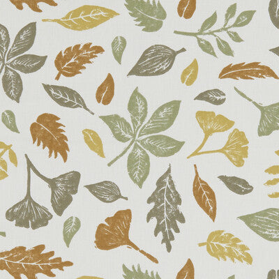 F1188/01-CAC HAWTHORN AUTUMN CLARKE AND CLARKE Fabrics Drapery Upholstery