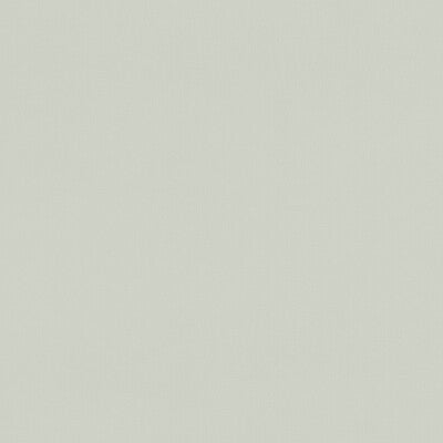 F1231/23-CAC RENZO SILVER CLARKE AND CLARKE Fabrics Drapery Upholstery