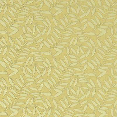 F1238/03-CAC HOLLINS CITRUS CLARKE AND CLARKE Fabrics Drapery Upholstery