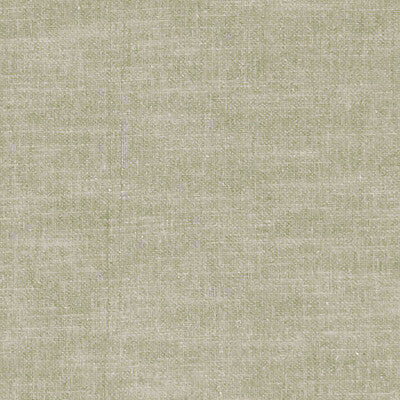 F1239/05-CAC AMALFI BIRCH CLARKE AND CLARKE Fabrics Drapery Upholstery