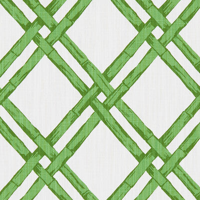 F1287/03-CAC BHUTAN EMERALD CLARKE AND CLARKE Fabrics Drapery Upholstery