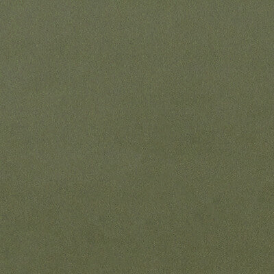 F1295/07-CAC LUCCA HERB CLARKE AND CLARKE Fabrics Drapery Upholstery