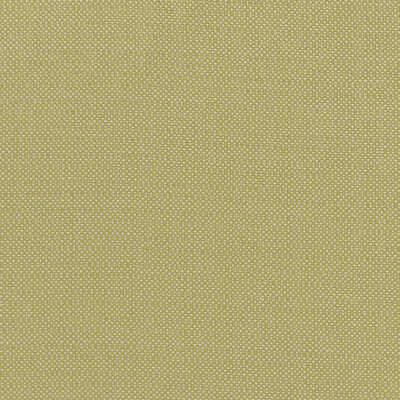 F1299/03-CAC KAUAI CITRON CLARKE AND CLARKE Fabrics Drapery Upholstery