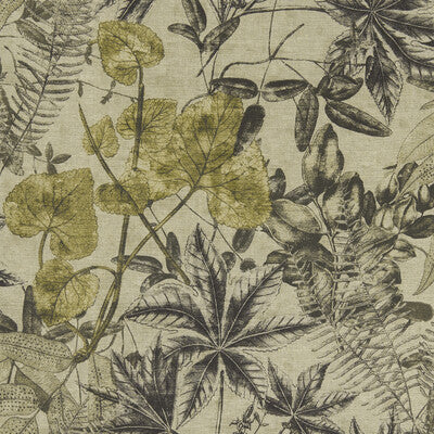 F1301/01-CAC MADAGASCAR CHARCOAL/CHARTEUSE CLARKE AND CLARKE Fabrics Drapery Upholstery